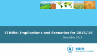 El Niño: Implications and Scenarios for 2015/16